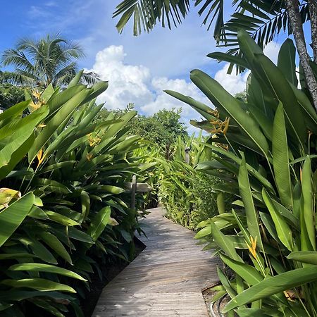 Eden Paradise Ecolodge & Spa サント・リュス エクステリア 写真