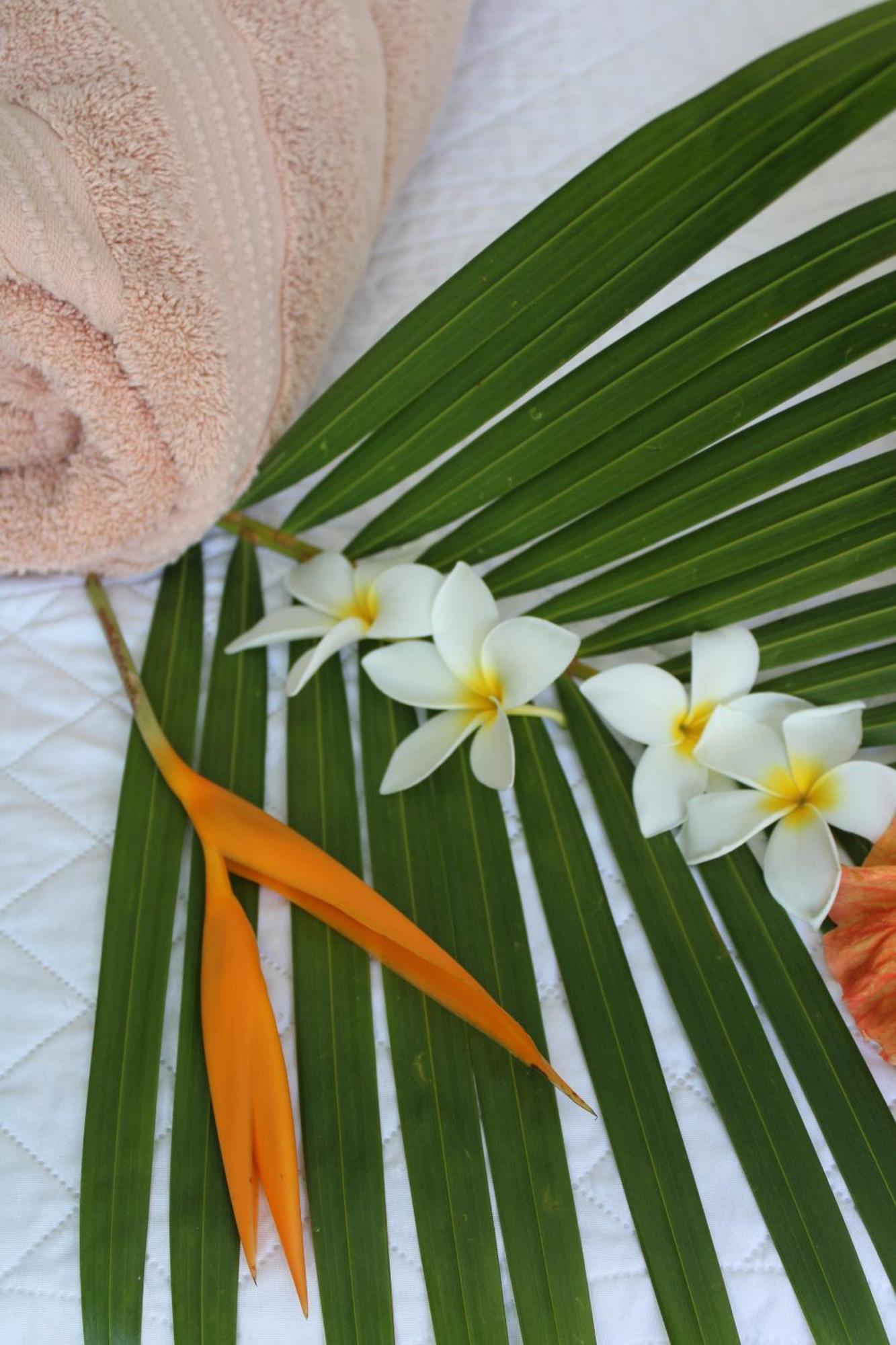 Eden Paradise Ecolodge & Spa サント・リュス 部屋 写真